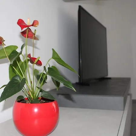 Kalloreat Apartment Bari
